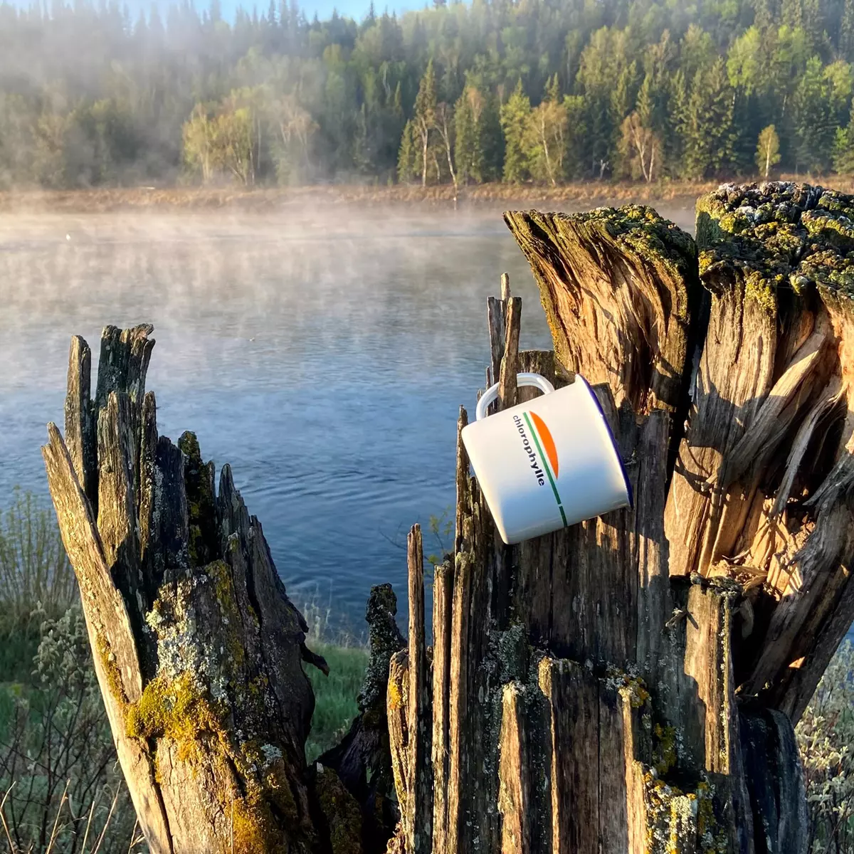 Chloro Tasse 500ml - Image 4